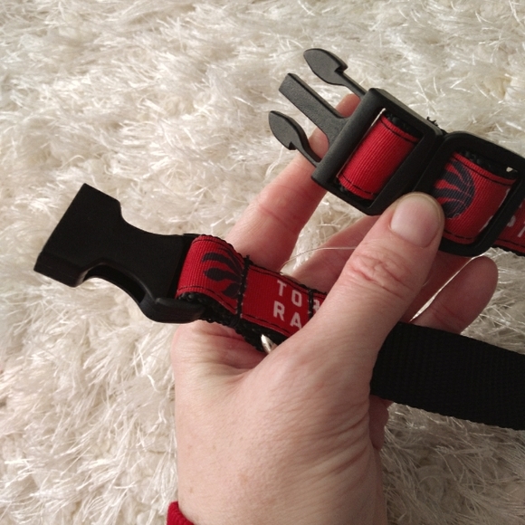 💥NEW LICENSED RAPTORS COLLAR - Picture 5 of 7